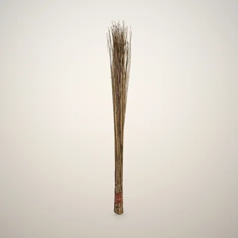 Seenk Jhadu (Coconut Stick Broom) — Photo 2 of 5